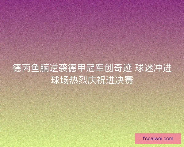 德丙鱼腩逆袭德甲冠军创奇迹 球迷冲进球场热烈庆祝进决赛